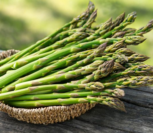 蘆筍